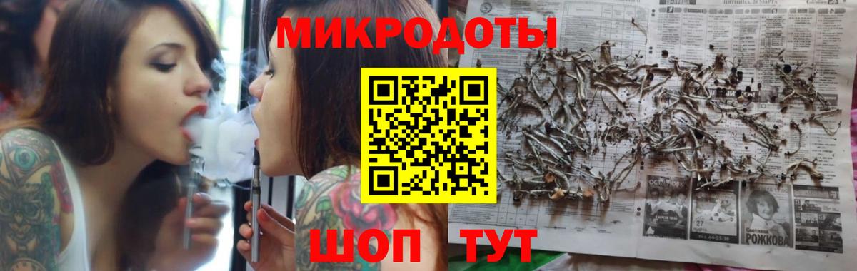 наркотики  Вход с VPN  Новодвинск  Галлюциногенные грибы Cubensis 